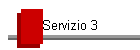 Servizio 3